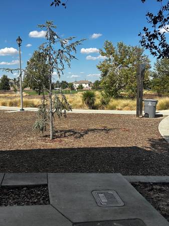 4BR/3BA Single Family House on Duke Cir · Vacaville photo 5