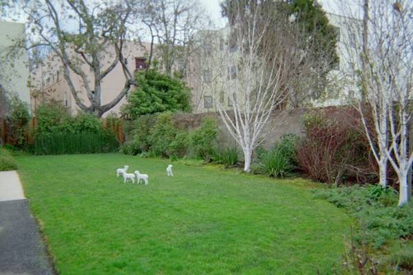 0BR/1BA Townhouse · Berkeley photo 3