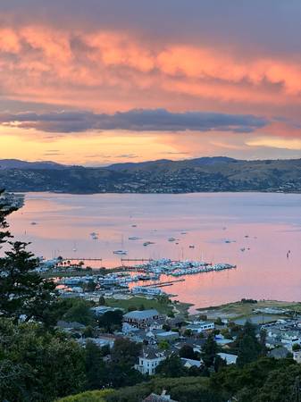 3BR/4BA Single Family House on Spencer Avenue · Sausalito photo 2