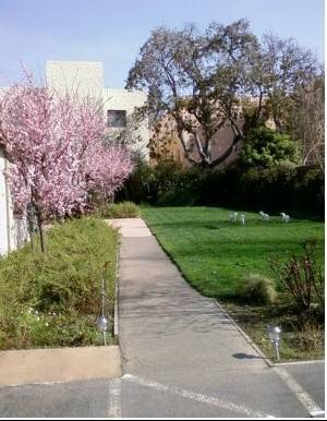 0BR/1BA Townhouse · Berkeley photo 3
