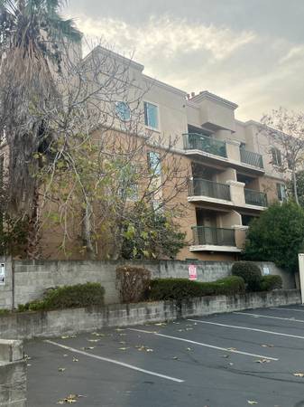 1BR/1BA Apartment on California Street · Concord photo 2