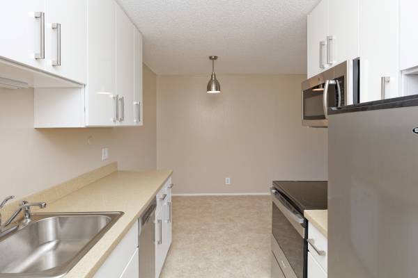 1BR/1BA Apartment · Berkeley photo 4