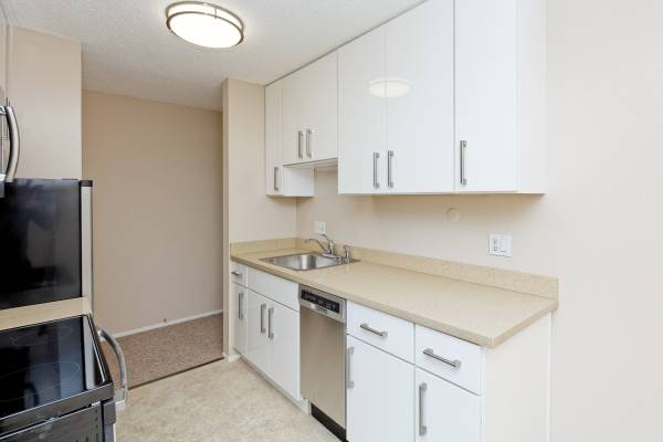 1BR/1BA Apartment · Berkeley photo 5