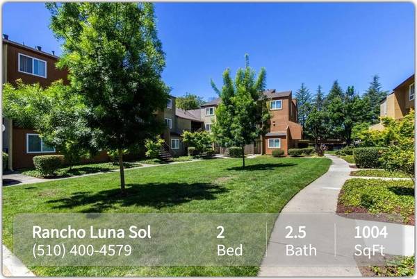 Apartments on Monroe Ave · Fremont