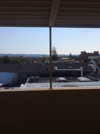 1BR/1BA Apartment · Palo Alto photo 2