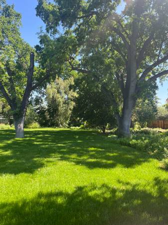 4BR/2BA Single Family House · San Francisco