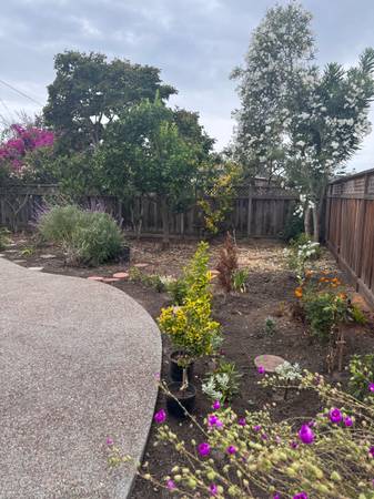 2BR/1BA House · San Mateo photo 2