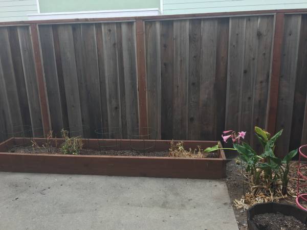 2BR/1BA Townhouse · Santa Cruz photo 3