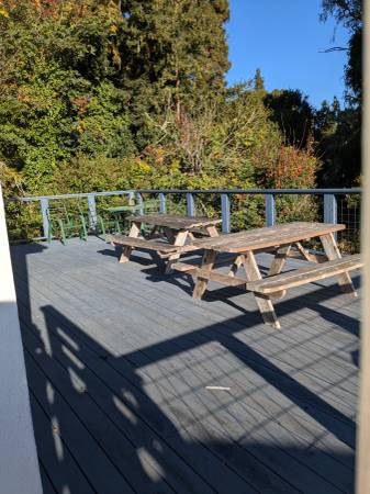 1BR/1BA Apartment · Aptos photo 5