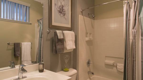 1BR/1BA Apartment · Campbell photo 3