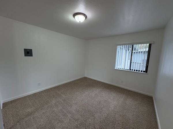 Apartments on Latham Street · Mountain View photo 5