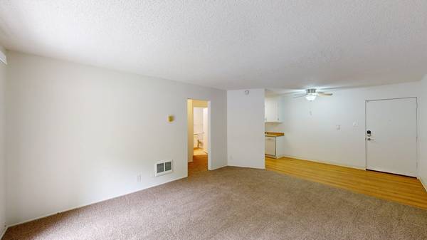 Apartments on Lincoln Ave - 315a · San Rafael photo 3