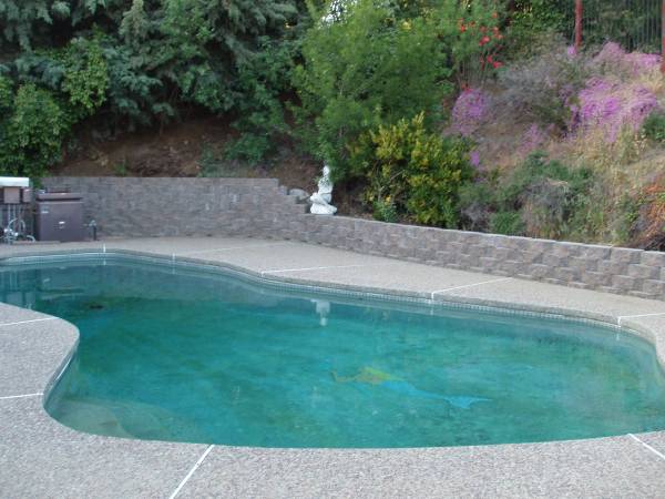 4BR/3BA Single Family House · San Jose photo 5