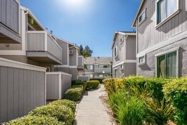 Apartments on Sara Court · Vacaville photo 4
