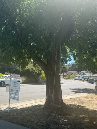 4BR/2BA Single Family House on Robinhood Drive · El Sobrante photo 3