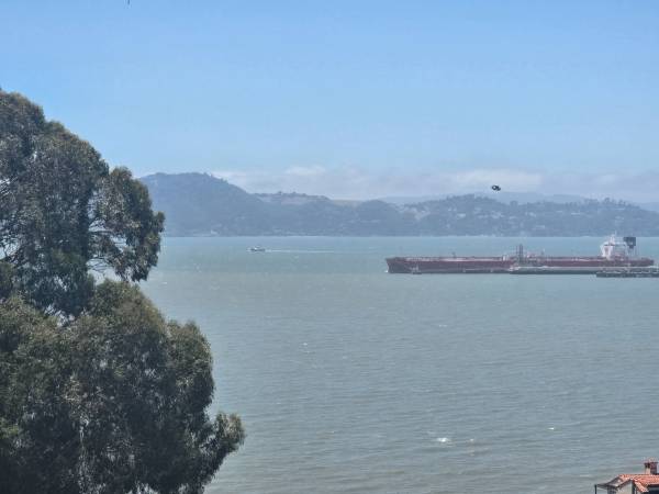 2BR/1BA Apartment on Golden Gate · Richmond photo 4