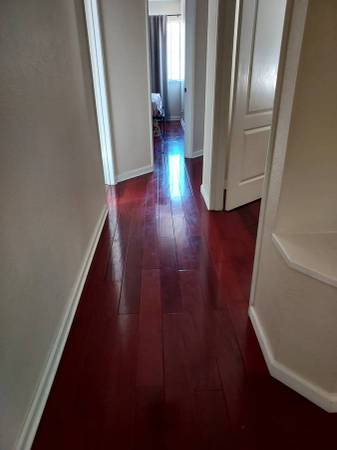 3BR/3BA Single Family House · San Francisco photo 2