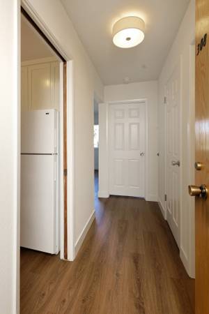 1BR/1BA Apartment · San Leandro photo 3
