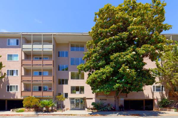 1BR/1BA Apartment · San Leandro photo 2
