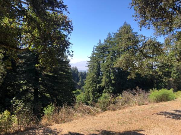 1BR/1BA Single Family House · Watsonville photo 3