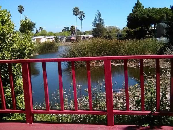 1BR/1BA Single Family House · San Jose photo 2