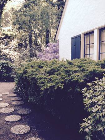 3BR/2BA House · Oakland photo 3