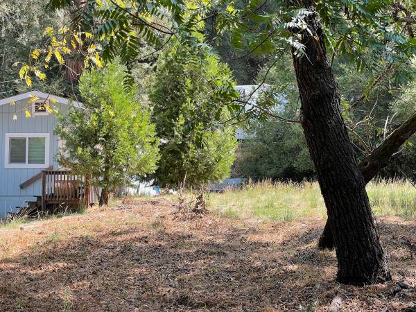 1BR/1BA Apartment · Mount Hermon photo 5