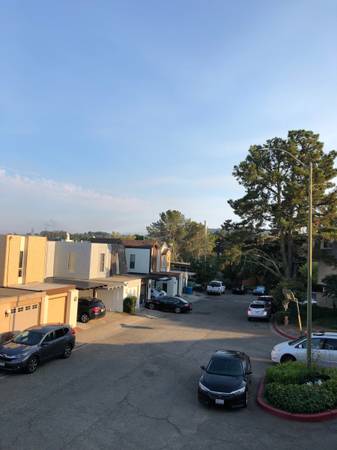 2BR/2BA Other · San Bruno photo 3