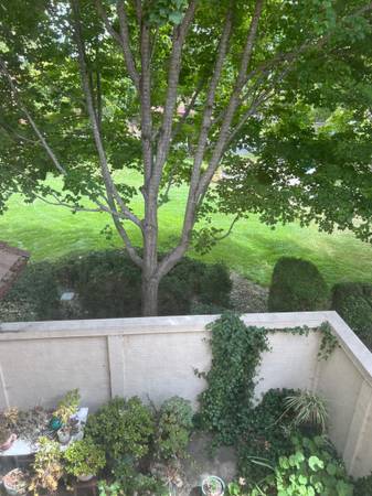 3BR/3BA Townhouse · Petaluma photo 5