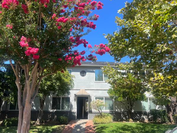 1BR/1BA Apartment · Mountain View