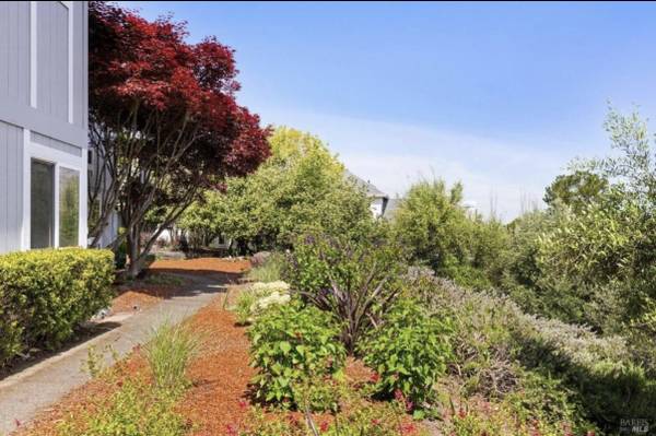 1BR/1BA In Law Adu · Petaluma photo 4