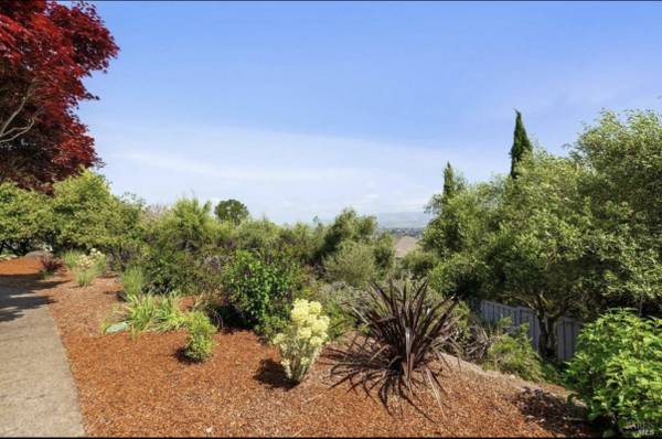 1BR/1BA In Law Adu · Petaluma photo 5