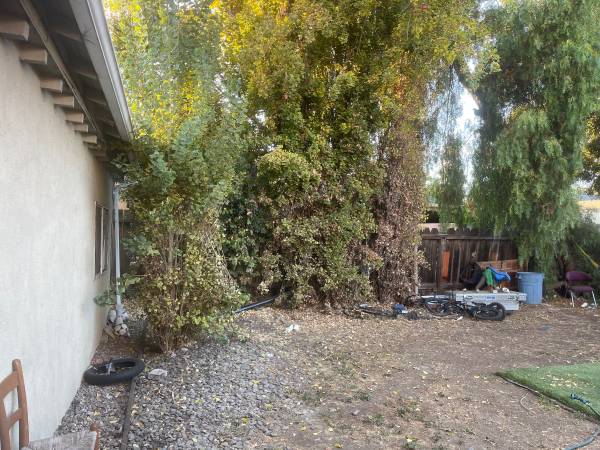 1BR/1BA In Law Adu · Redwood City photo 4