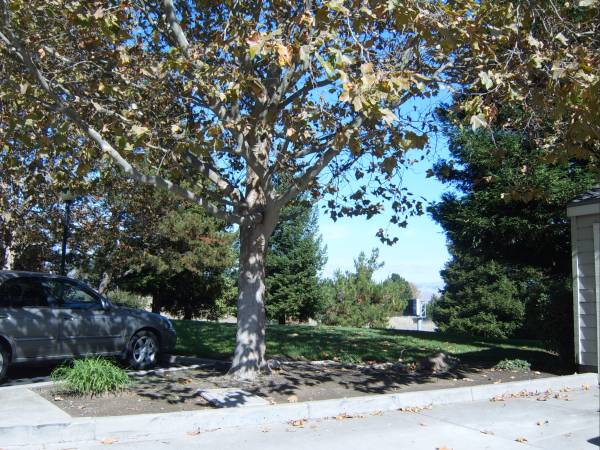 2BR/2BA Condo · Castro Valley photo 5