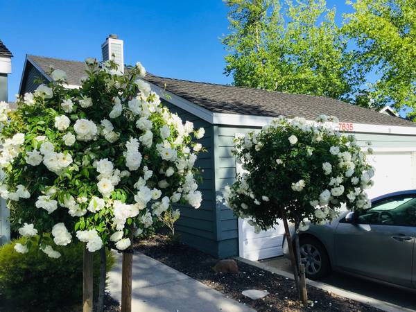 2BR/2BA Condo · Castro Valley