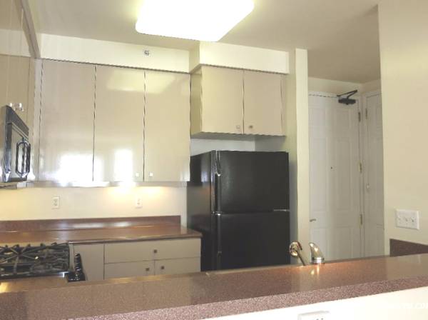 1BR/1BA Condo · San Francisco photo 4