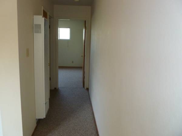 1BR/1BA Apartment · Berkeley photo 4