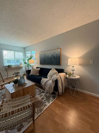 2BR/1BA Condo on Saidel Dr · San Jose photo 4