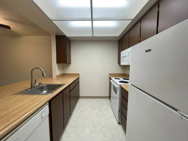1BR/1BA Apartment on Center St · Hayward photo 5