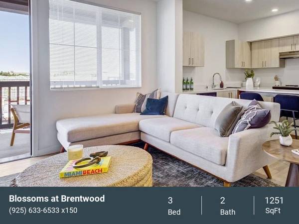 Apartments on Amber Ln · Antioch photo 3