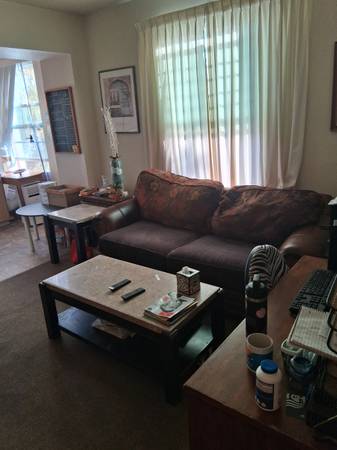 1BR/1BA Apartment · San Jose photo 2