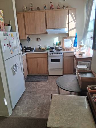 1BR/1BA Apartment · San Jose photo 3