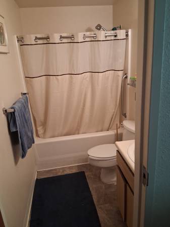 1BR/1BA Apartment · San Jose photo 5