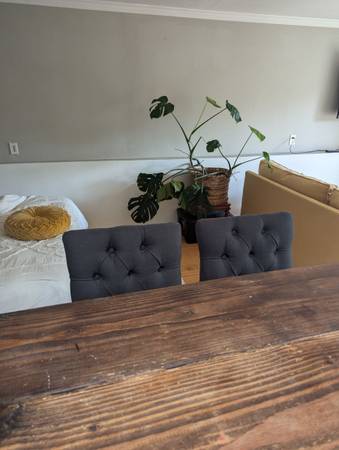 1BR/1BA Single Family House · Mill Valley photo 3