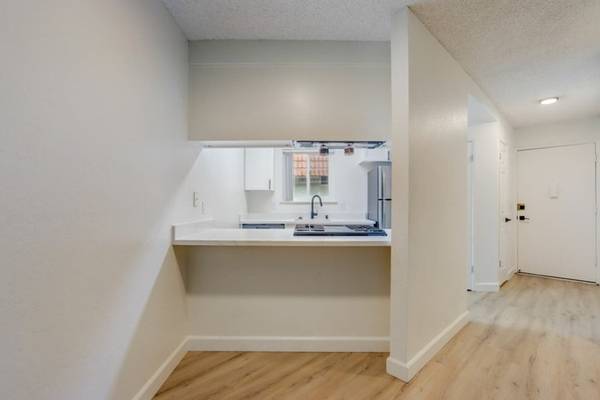 1BR/1BA Apartment · San Jose photo 2