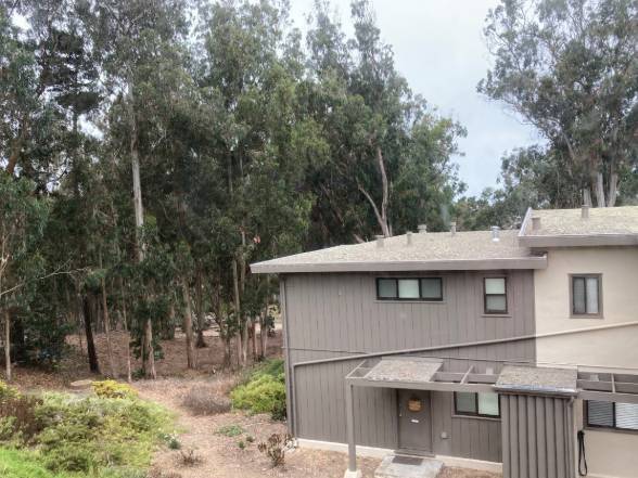 3BR/1BA Apartment · San Francisco photo 2