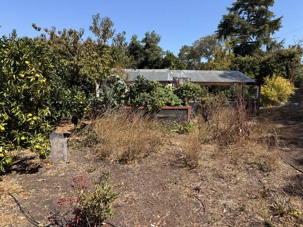 1BR/1BA Single Family House · San Rafael photo 5
