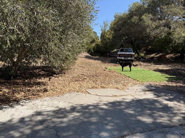 1BR/1BA Single Family House · San Rafael photo 4
