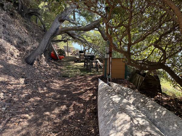 1BR/1BA Single Family House · San Rafael photo 3