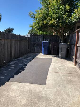 1BR/1BA Apartment · Sebastopol photo 5